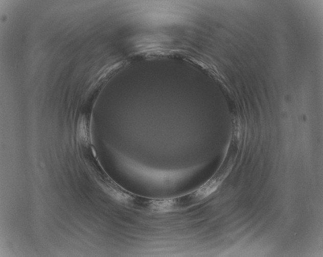 X0000076420143200610061214