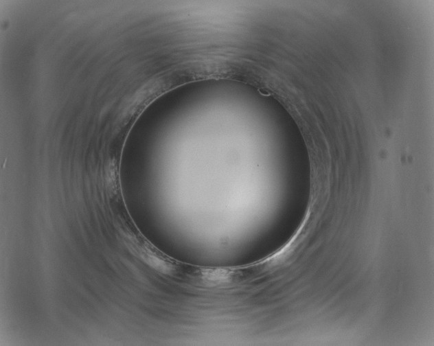X0000076420144200610061214