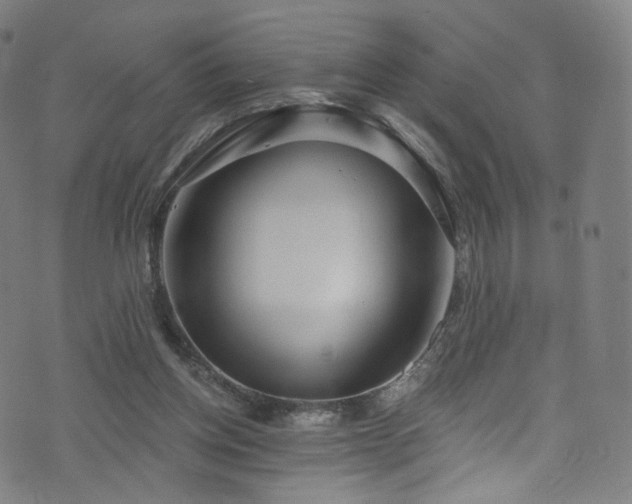 X0000076420158200610061213
