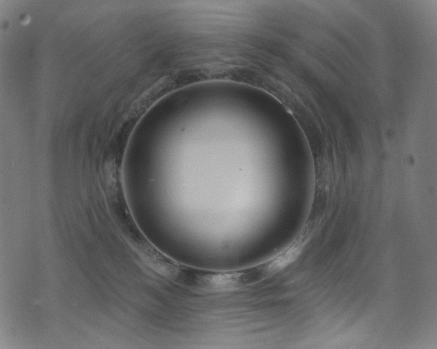 X0000076420184200610061214