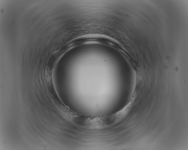 X0000076420186200610061214