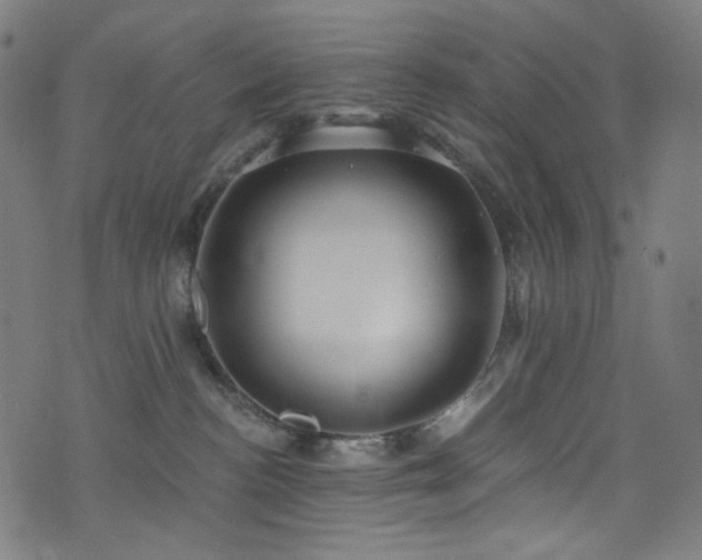 X0000076420188200610061214