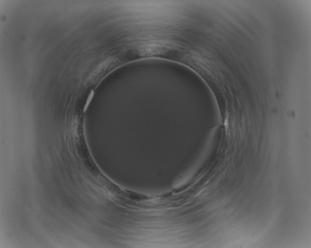 X0000076420219200610061213