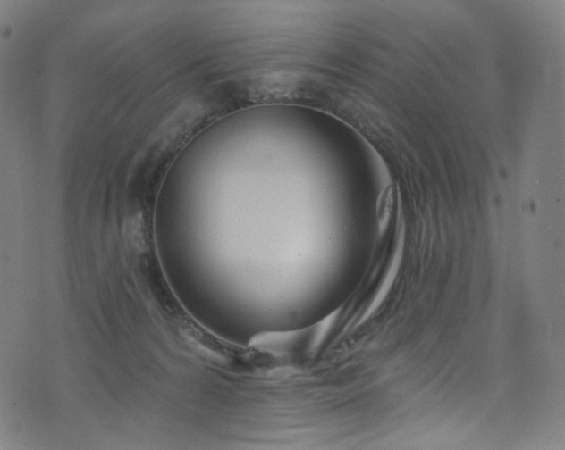 X0000076420224200610061213
