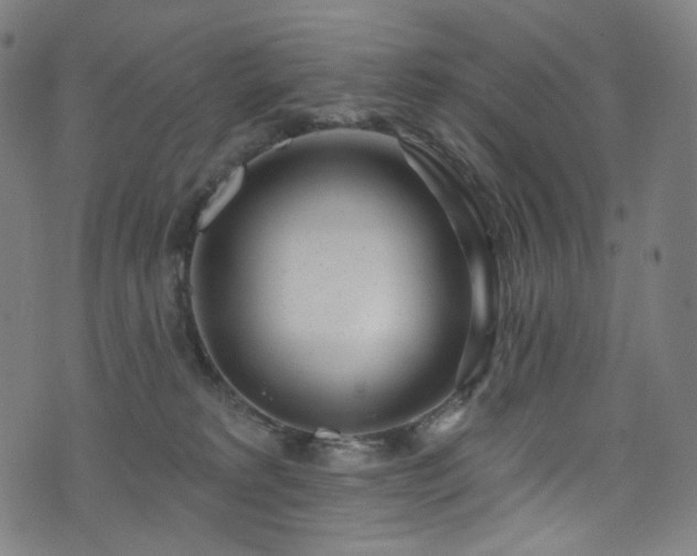 X0000076420229200610061212