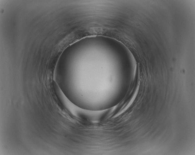 X0000076420233200610061212