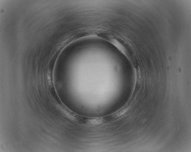 X0000076420238200610061212