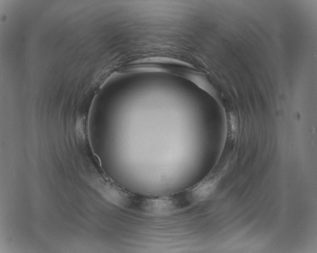 X0000076420286200610061212