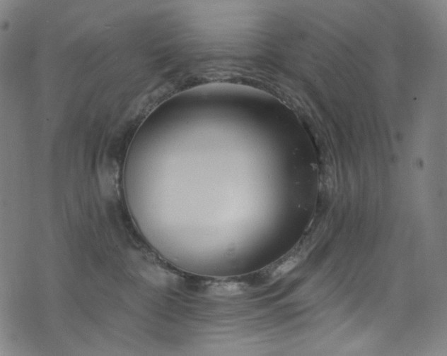 X0000076420332200610061211