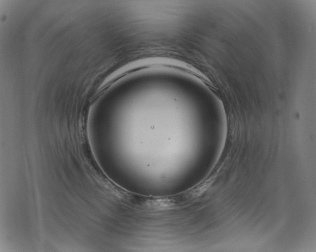 X0000076420378200610061211
