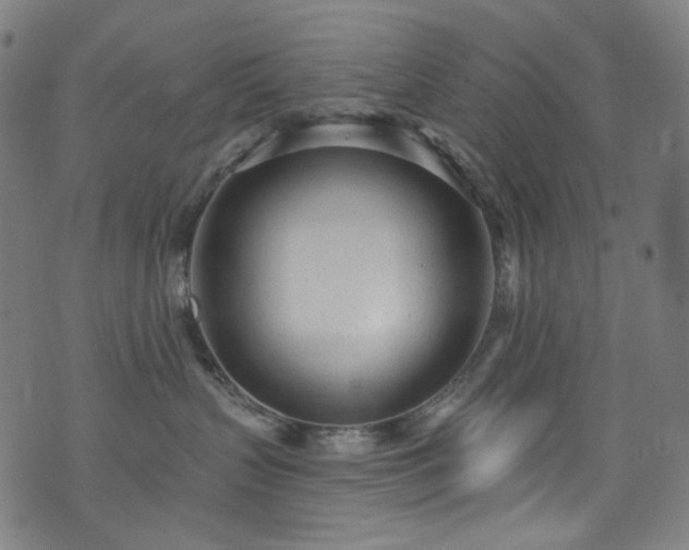 X0000076420383200610061211