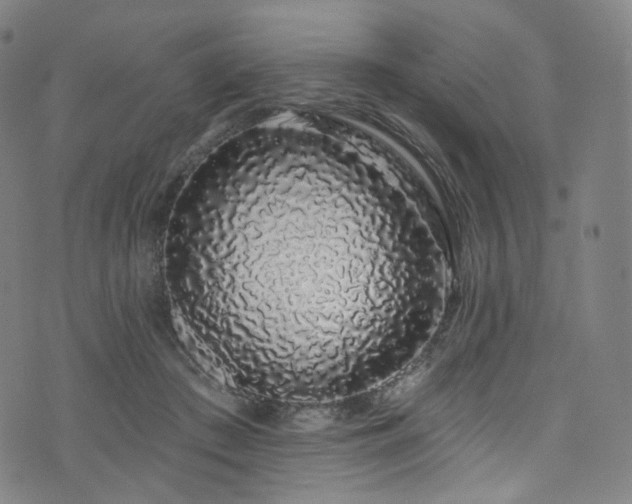 X0000076420409200610061210