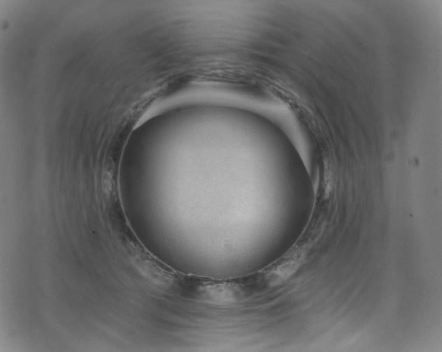 X0000076420417200610061209
