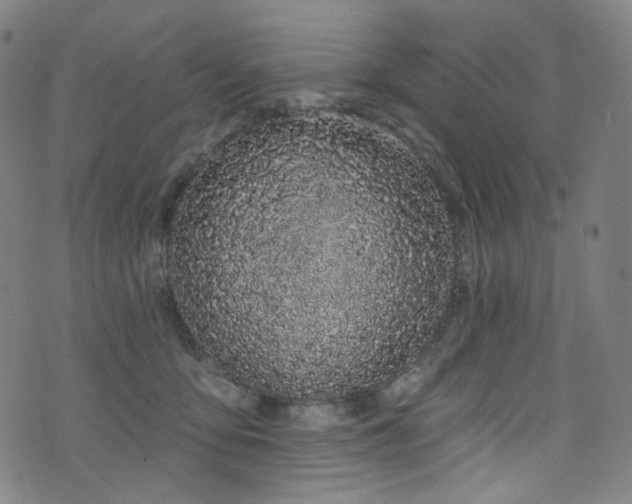 X0000076420419200610061209