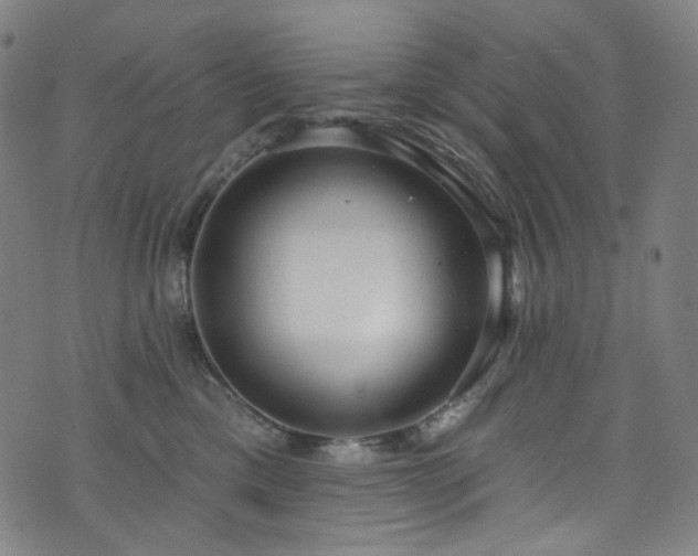 X0000076420425200610061209