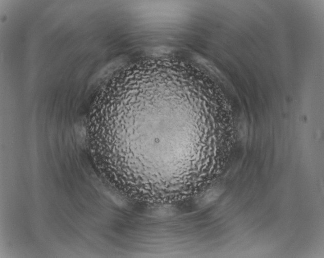 X0000076420427200610061209