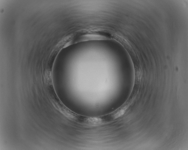X0000076420429200610061209