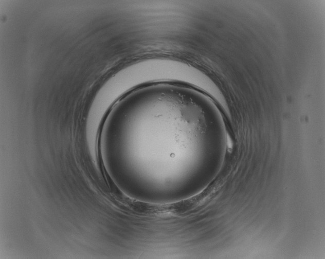 X0000076420456200610061209