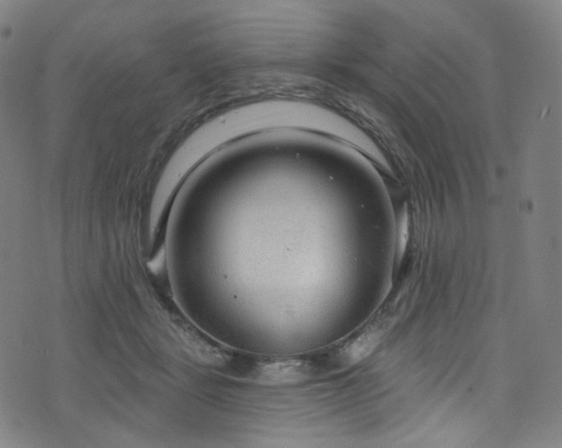 X0000076420461200610061209