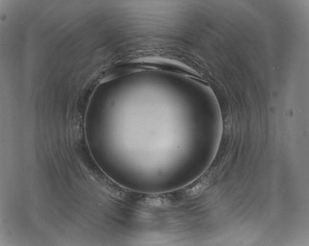 X0000076420464200610061209