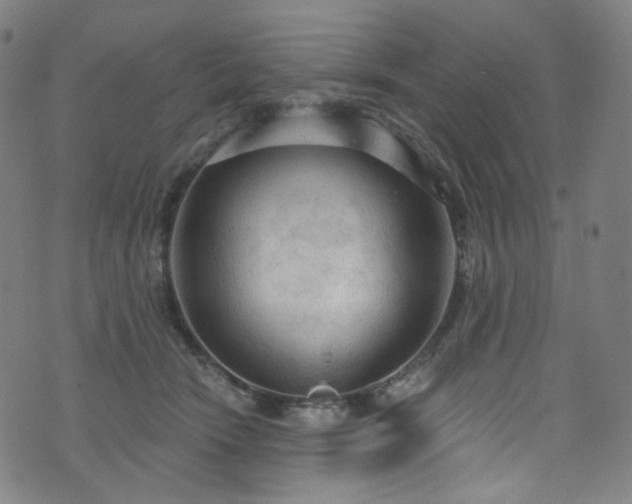 X0000076420466200610061209