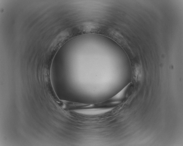 X0000076420470200610061209
