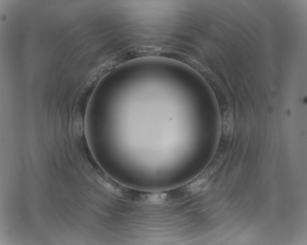 X0000076420474200610061209