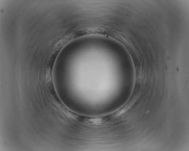 X0000076420478200610061209