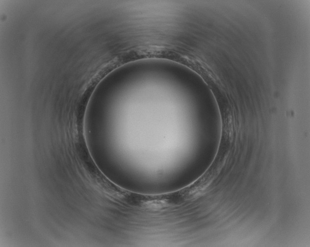 X0000076420508200610061208