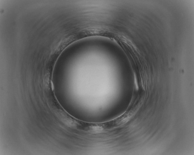 X0000076420509200610061208