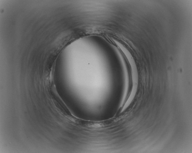 X0000076420513200610061208