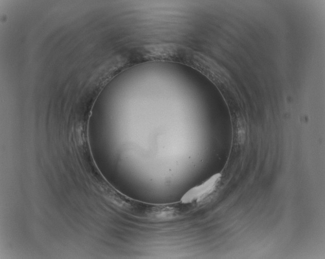 X0000076420514200610061208