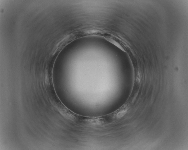 X0000076420524200610061208