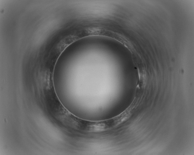 X0000076420525200610061208
