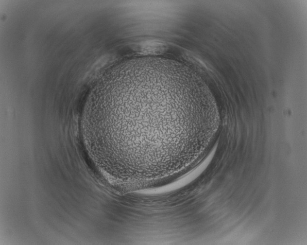 X0000076420554200610061207