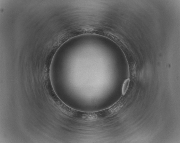 X0000076420559200610061207