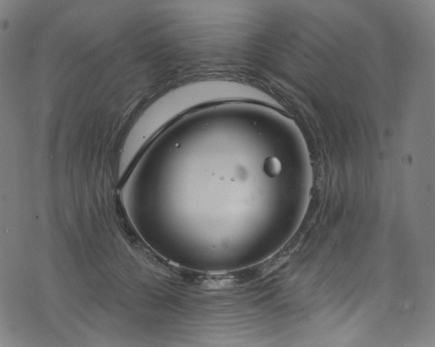 X0000076420560200610061207