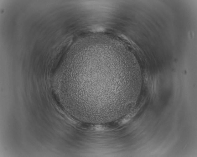 X0000076420565200610061207