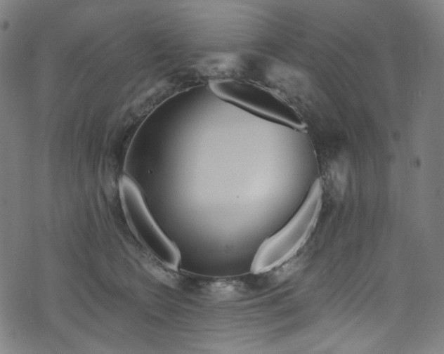 X0000076420566200610061207
