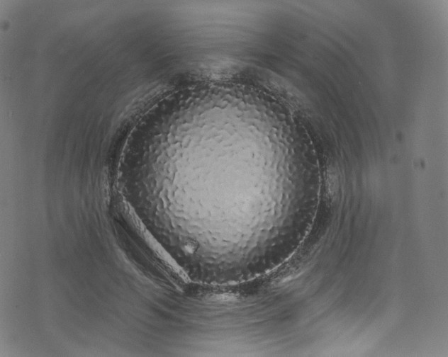 X0000076420594200610061207
