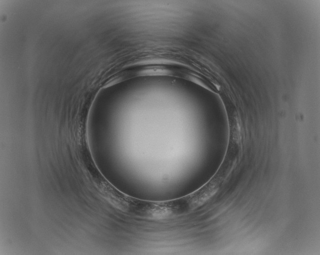 X0000076420604200610061206