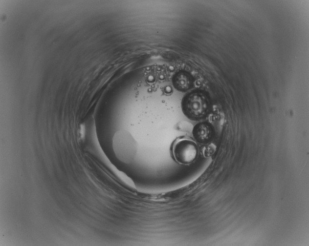 X0000076420607200610061206