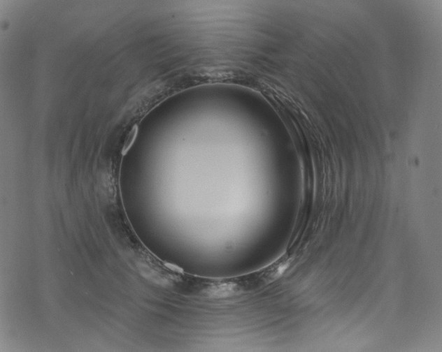 X0000076420609200610061206