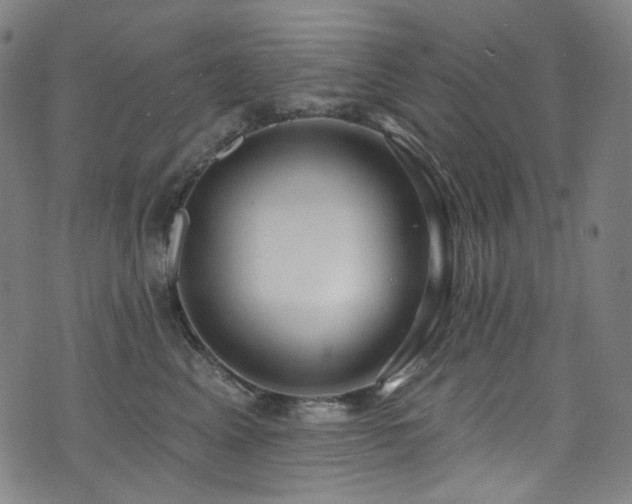 X0000076420617200610061206