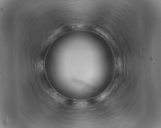 X0000076420621200610061206