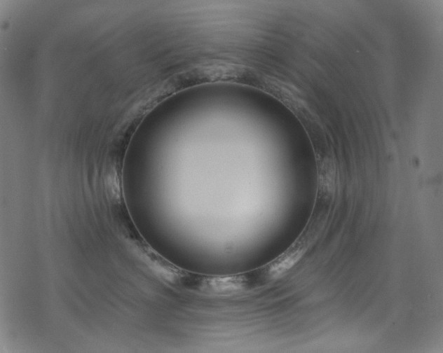 X0000076420622200610061206