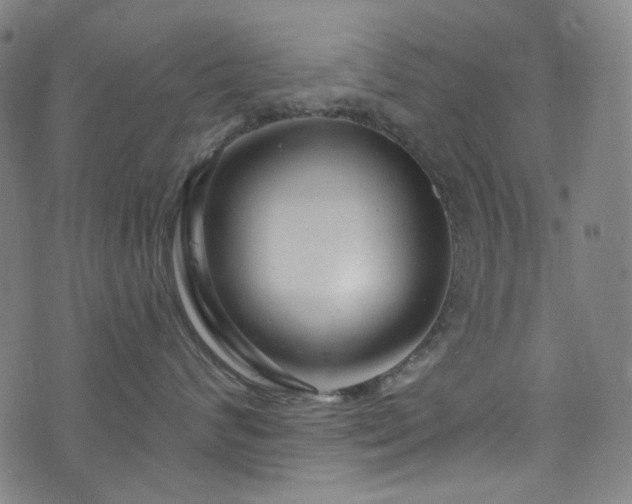X0000076420624200610061206