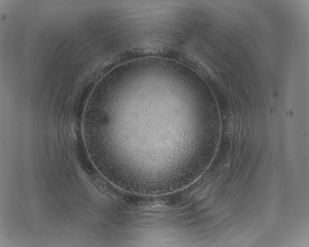 X0000076420643200610061206
