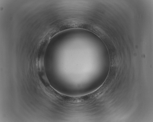 X0000076420646200610061206