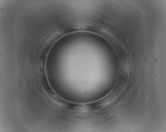 X0000076420652200610061206